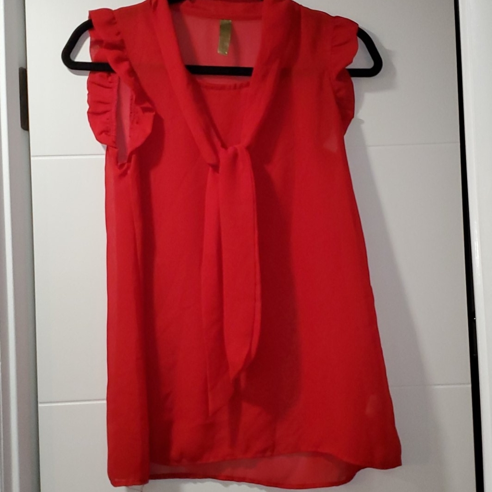 Whisper sleevless red sheer blouse